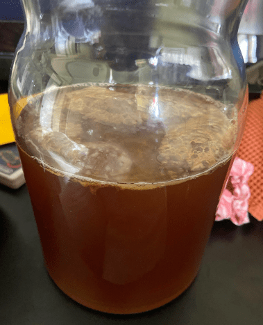 weak or thin scoby